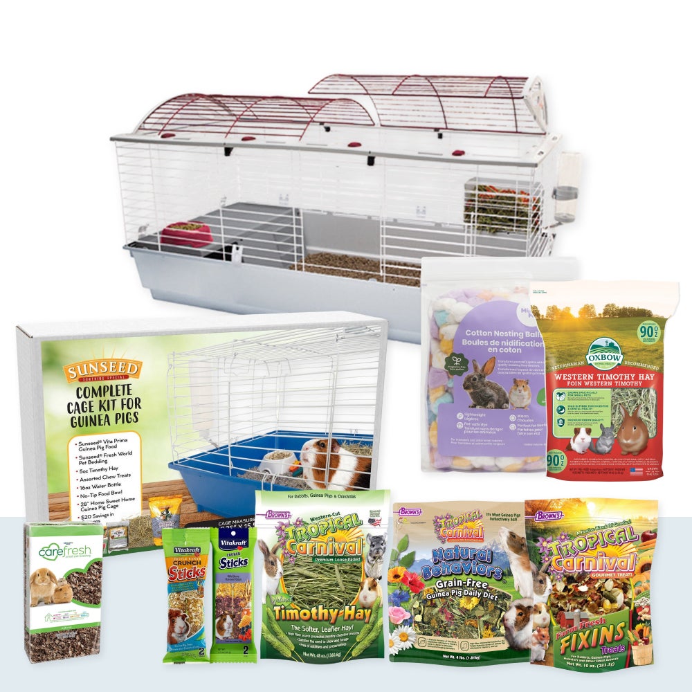 Guinea Pig Supplies Set